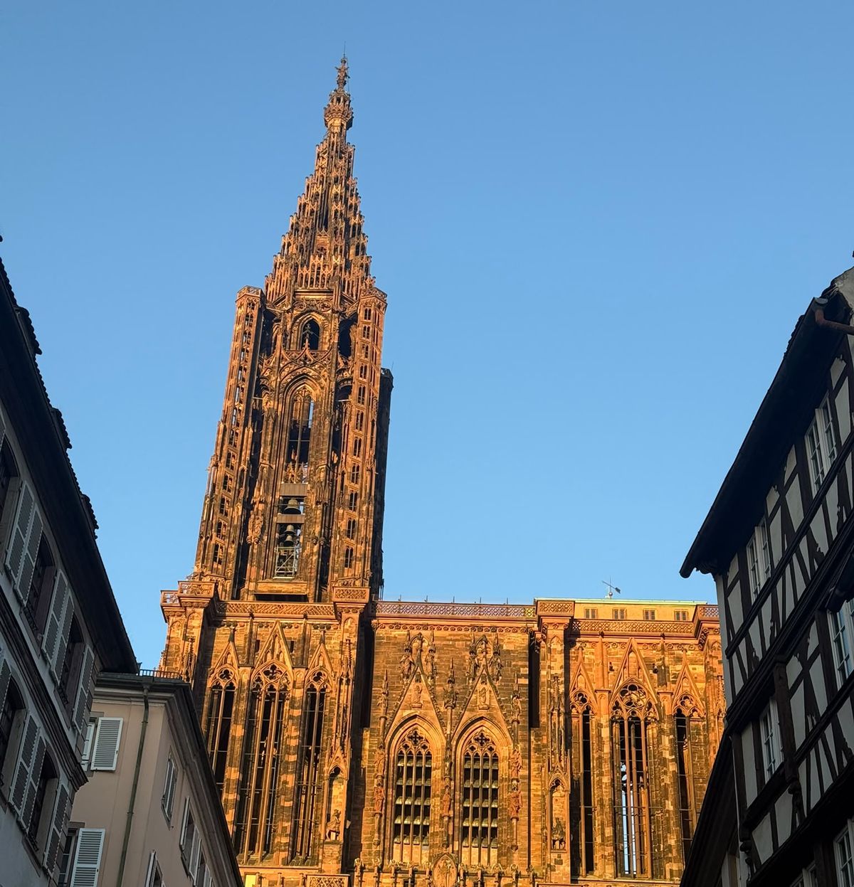 La cathédrale Notre-Dame de Strasbourg au soleil couchant